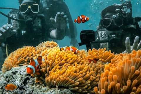 Andaman Island, India Packages