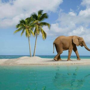 Andaman Island, India Packages
