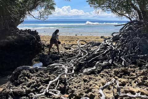 Andaman Island, India Packages